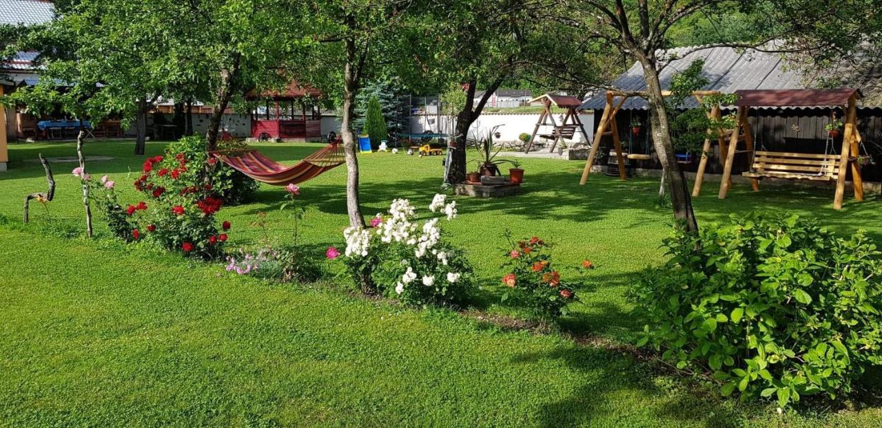 Pensiunea Miraj Polovragi Extérieur photo