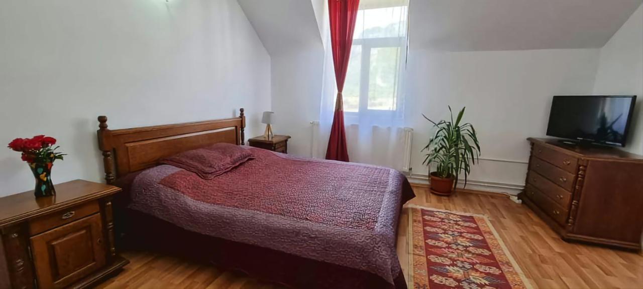 Pensiunea Miraj Polovragi Extérieur photo