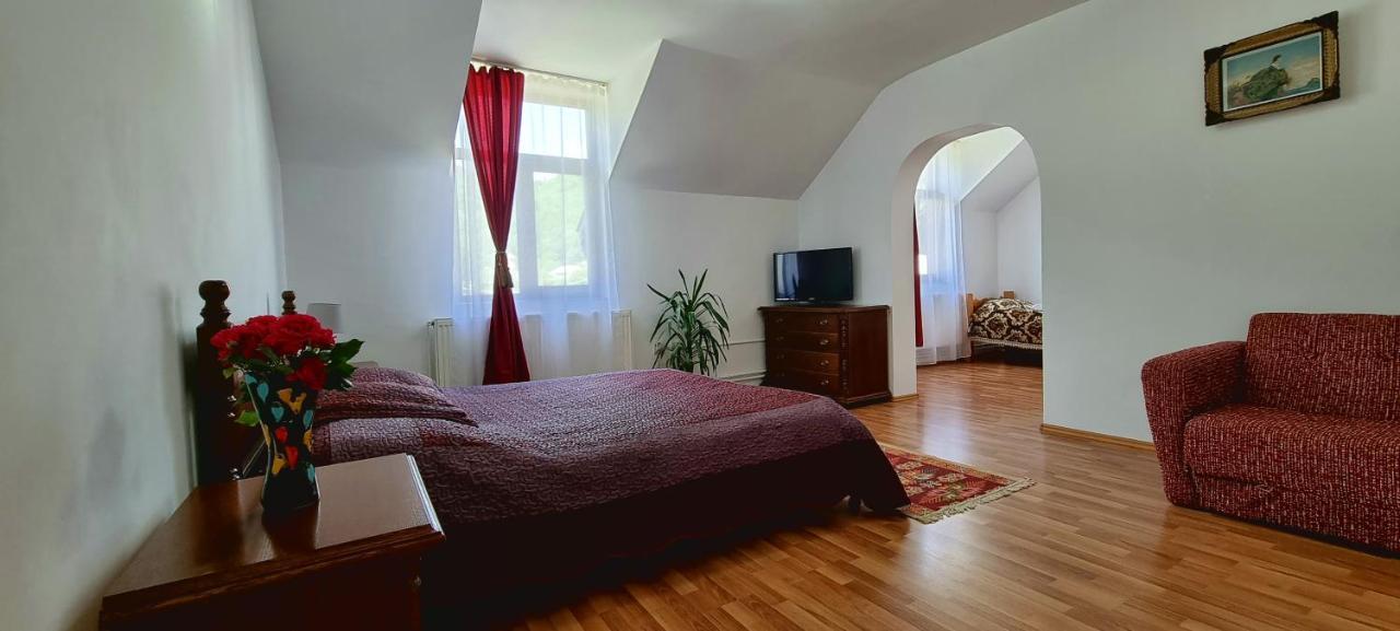 Pensiunea Miraj Polovragi Extérieur photo